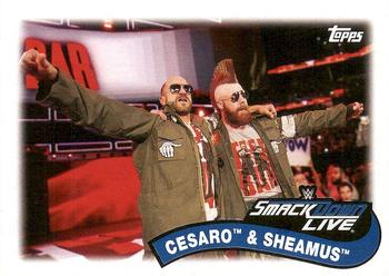2018 Topps WWE Heritage - Tag Teams and Stables #TT-1 Cesaro / Sheamus Front