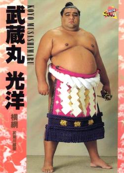 2000 BBM Sumo Kesho Mawashi #1 Musashimaru Koyo Front