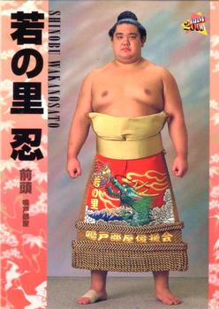 2000 BBM Sumo Kesho Mawashi #40 Wakanosato Shinobu Front