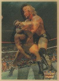 1990 WWF Hasbro Flip Cards #NNO 