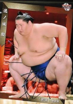 2020 BBM Sumo #34 Ichinojo Takashi Front