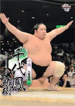 2013 BBM Sumo #53 Chiyootori Yuki Front