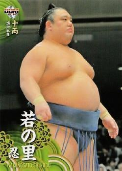2014 BBM Sumo #51 Wakanosato Shinobu Front