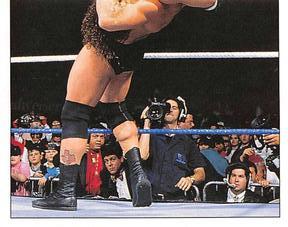 1997 Panini WWF Superstars Stickers #43 Steve Austin / Bret Hart Front