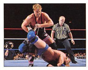 1997 Panini WWF Superstars Stickers #136 Owen Hart Front