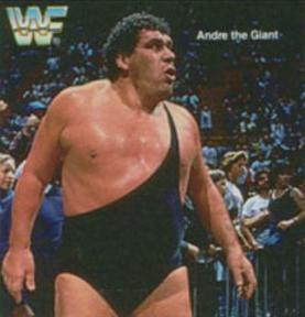 1989 Quaker Dipps WWF #NNO Andre the Giant Front
