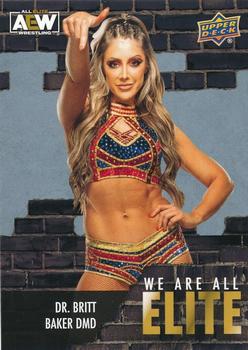 2023 Upper Deck AEW - We Are All Elite Silver #AE-5 Dr. Britt Baker Front