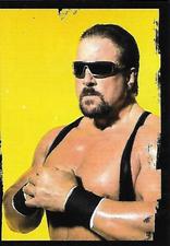 1999 Panini WCW/NWO Stickers #109 Scott Norton Front