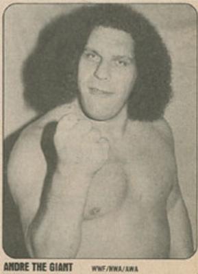 1981 Wrestling Super Stars #NNO Andre The Giant Front