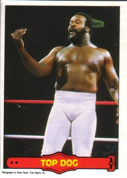 1985 O-Pee-Chee WWF Pro Wrestling Stars Series 2 #27 Top Dog Front