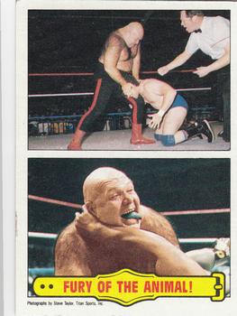 1985 Topps WWF Pro Wrestling Stars #55 Fury Of The Animal! Front