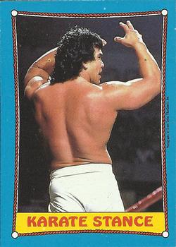 1987 Topps WWF #43 Karate Stance Front