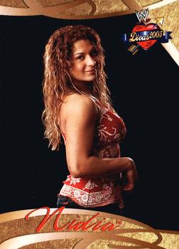 2004 Fleer WWE Divine Divas 2005 #18 Nidia Front
