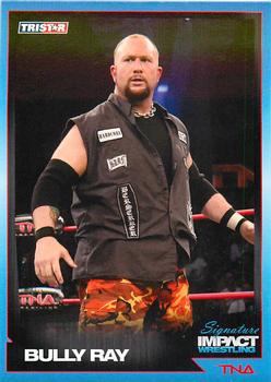 2011 TriStar Signature Impact #37 Bully Ray Front