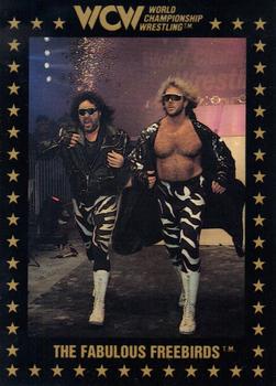 1991 Championship Marketing WCW #5 The Fabulous Freebirds Front