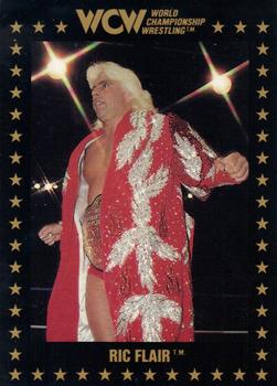 1991 Championship Marketing WCW #8 Ric Flair Front