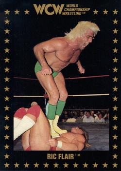1991 Championship Marketing WCW #12 Ric Flair Front