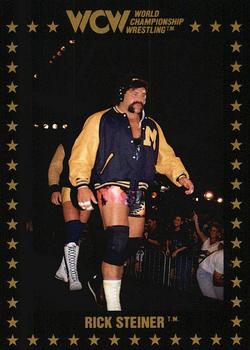 1991 Championship Marketing WCW #26 Rick Steiner Front