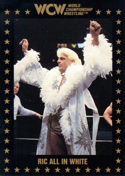 1991 Championship Marketing WCW #56 Ric All in White Front