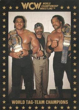 1991 Championship Marketing WCW #98 World Tag-Team Champions Front