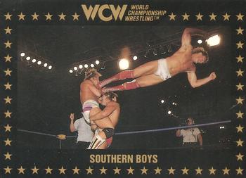 1991 Championship Marketing WCW #106 Southern Boys Front