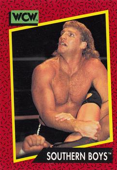 1991 Impel WCW #135 Southern Boys Front