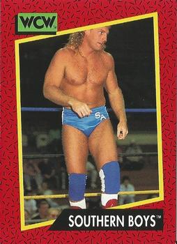 1991 Impel WCW #138 Southern Boys Front