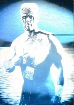 1991 Impel WCW #NNO Sting Hologram Front