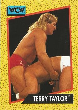 1991 Impel WCW #72 Terry Taylor Front