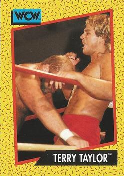 1991 Impel WCW #75 Terry Taylor Front