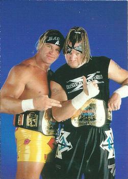 1998 Comic Images WWF Superstarz #7 Tag Team Champions Front