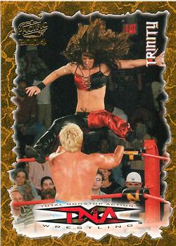 2004 Pacific TNA #73 Trinity Front