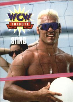 1995 Cardz WCW Main Event #80 Sting Front