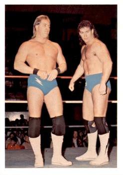 1988 Wonderama NWA #108 Brad Armstrong / Tim Horner Front