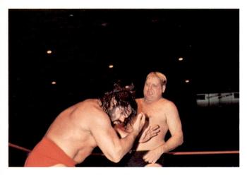 1988 Wonderama NWA #141 Dick Murdoch / Steve Williams Front