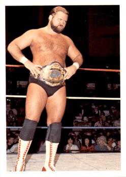 1988 Wonderama NWA #239 Arn Anderson Front