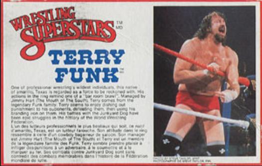 1984-88 LJN Wrestling Superstars Action Figure Cards #NNO Terry Funk Front