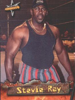 1999 Topps WCW Embossed #25 Stevie Ray Front