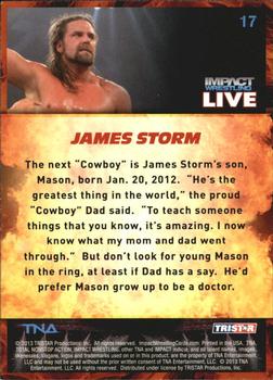 2013 TriStar TNA Impact Live #17 James Storm Back