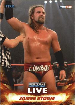2013 TriStar TNA Impact Live #17 James Storm Front