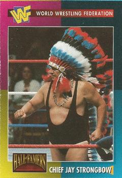 1995 WWF Magazine #14 Chief Jay Strongbow Front