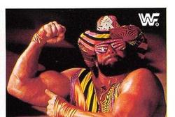 1991 WWF Superstars Stickers #101 Macho Man Randy Savage Front