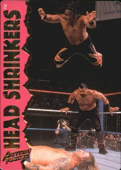 1995 Action Packed WWF #17 Head Shrinkers Front